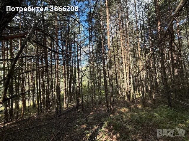 Земеделска земя , снимка 4 - Парцели - 56413709