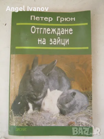 Отглеждане на зайци