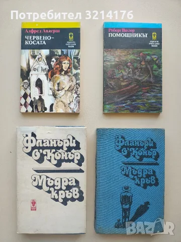 Мъдра кръв - Фланъри О'Конър