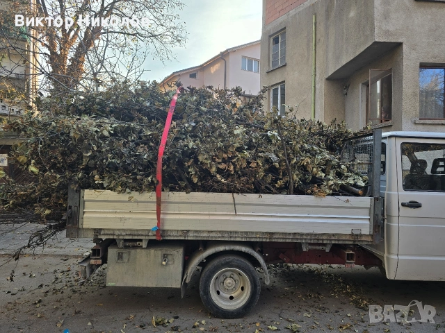 почистване Косене на трева кърти, снимка 12 - Хамалски услуги - 53224029