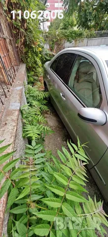 mercedes w211 на части, снимка 11 - Части - 56523067