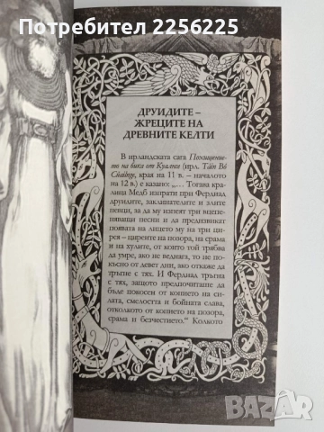 Оракулът на друидите - Гадаене с огами, снимка 4 - Езотерика - 52182719