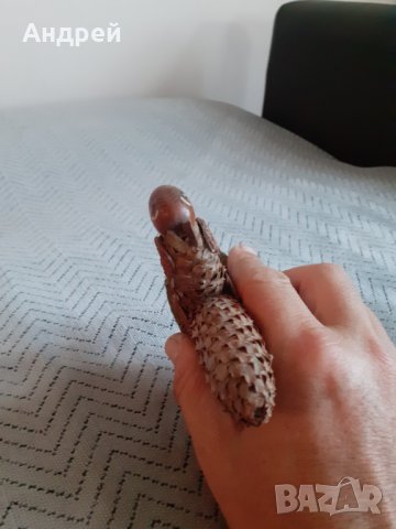 Стар сувенир,катерица,катеричка, снимка 5 - Антикварни и старинни предмети - 29658559