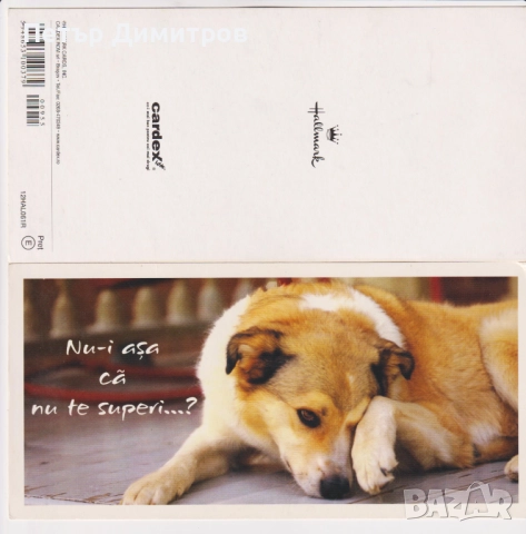 Kартичка Не, нямам нищо против; Куче от Румъния  , снимка 3 - Филателия - 51828794