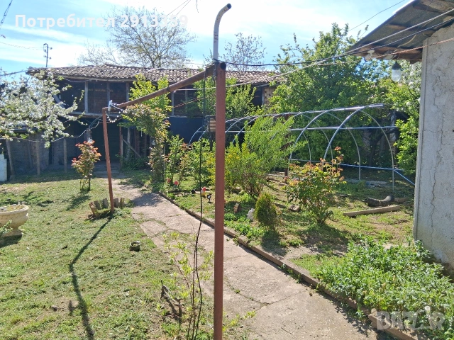 БЕЗ ПОСРЕДНИК-Селски имот в село Баячево-Собственик, снимка 17 - Къщи - 54242247