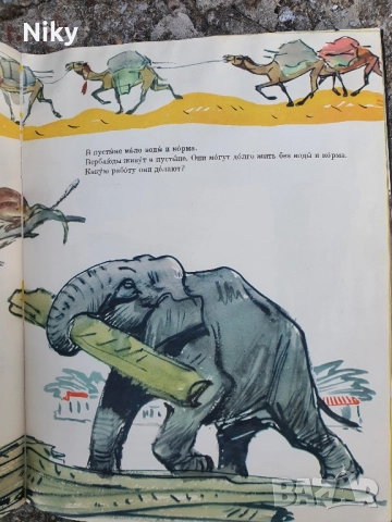 Руски език в картинки, снимка 5 - Детски книжки - 51635364