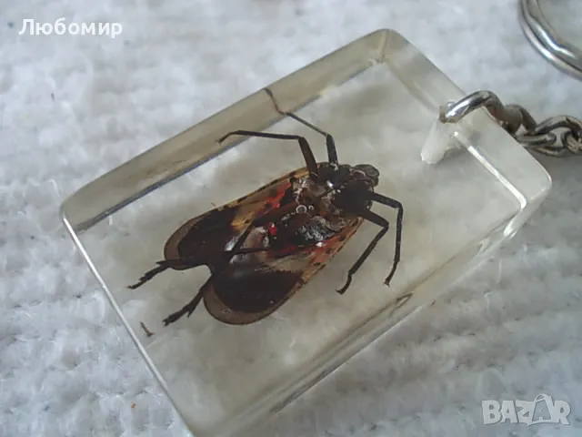 Стари ключодържатели Насекоми, снимка 13 - Антикварни и старинни предмети - 49544764
