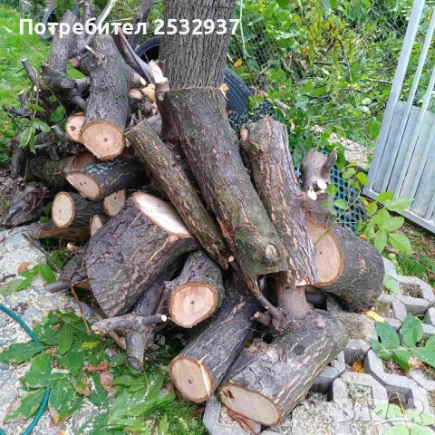 Продавам орехови дънери , снимка 5 - Оборудване и аксесоари за оръжия - 51850645