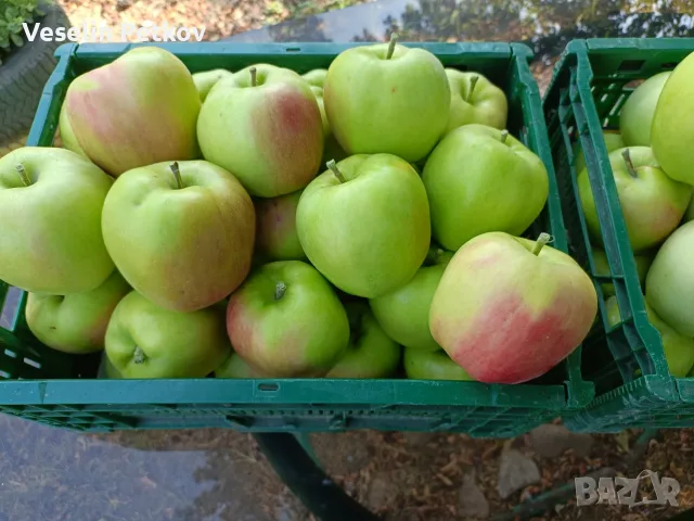 Продавам ябълки..., снимка 2 - Домашни продукти - 55903170