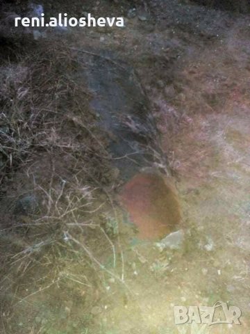 Цистерна, снимка 2 - Селскостопанска техника - 30470847