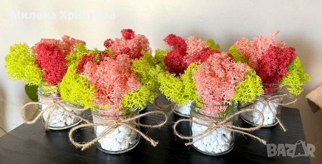 Подаръчета за сватба със скандинавски мъх , снимка 2 - Други - 39962996