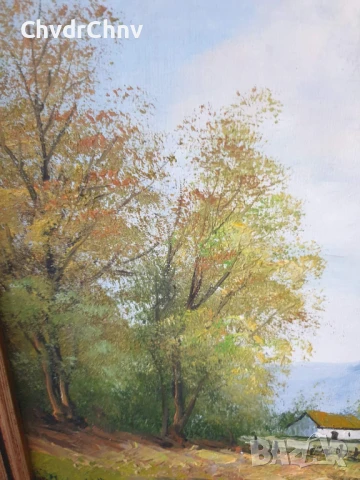 80х70см/голяма картина масло върху платно/селски пейзаж/къщи-дървета-планина/дървена рамка, снимка 6 - Картини - 50852639