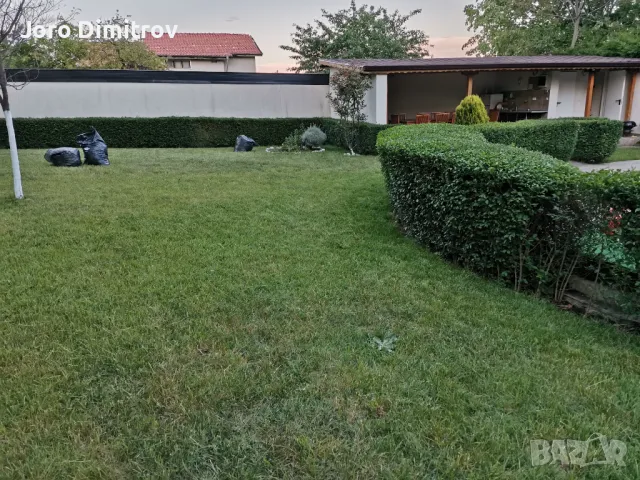 Поддръжка/Рязане на овошки и опасни дървета/Почистване на терени/Пръскане и изкореняване, снимка 11 - Други услуги - 48229933