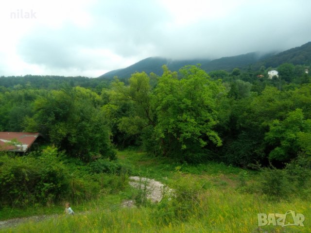 Продавам парцел в село Краево област София , снимка 5 - Парцели - 39292181