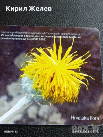 Фонокарта ХЪРВАТИЯ ФЛОРА много красива за КОЛЕКЦИЯ ДЕКОРАЦИЯ 50033, снимка 2 - Колекции - 51293798