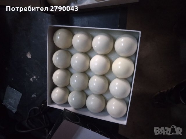 Бяла топка за билярд