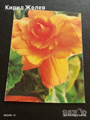 Старо календарче от соца 86г. за КОЛЕКЦИОНЕРИ 7125, снимка 3 - Колекции - 51216760