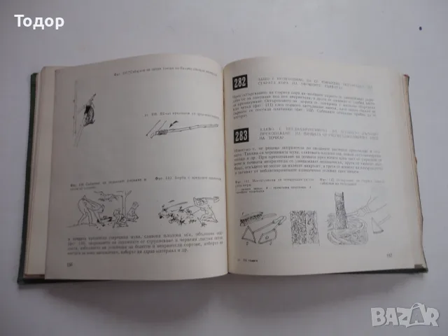 Книга 700 съвета за любителя овощар Виденов , снимка 9 - Здраве, медицина и спорт - 56259122
