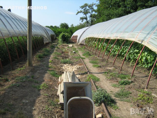 Поликраище,имот,парцел,оранжерий, снимка 3 - Производствени сгради - 42746559