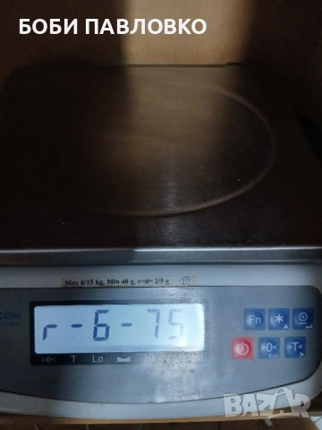 Ел везна еликом Силистра до 15кг., снимка 7 - Везни - 51965487