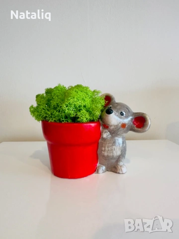 Декорации от скандинавски мъх, снимка 3 - Декорация за дома - 53307440