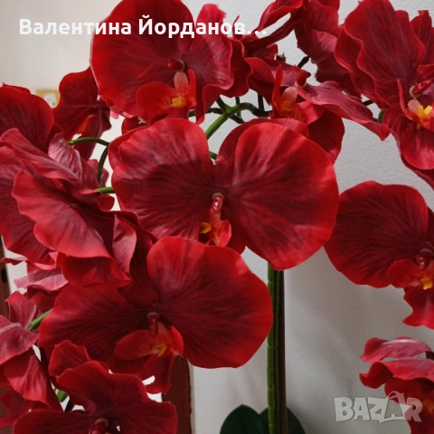 изкуствена орхидея , снимка 3 - Други - 52293089