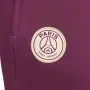 Мъжки Панталон Nike Paris Saint-Germain Strike FN9429-610, снимка 4