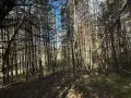 Земеделска земя , снимка 4