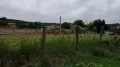 Стопанска сграда със две халета, снимка 8