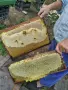 продавам пчелен мед, снимка 2