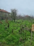 Продава се парцел с.Соколово 1.800м, снимка 4
