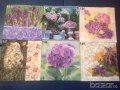 Салфетки за колекция или декупаж, снимка 16