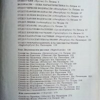 Атлас по Ботаника - Сл.Петров,Е.Паламарев - 1994г.  , снимка 4 - Енциклопедии, справочници - 42277632