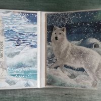 Албум "Арктическа зима", снимка 4 - Коледни подаръци - 31014622