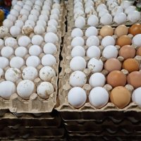 Продавам яйца за консумация, снимка 2 - други­ - 40776787