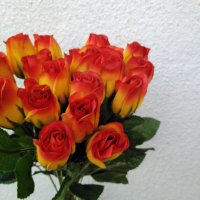  Изкуствени цветя - рози, снимка 11 - Изкуствени цветя - 32013601