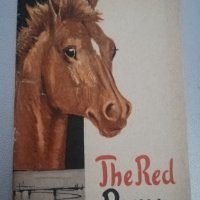 Steinbeck, John Ryzhii Poni [Soviet edition of The Red Pony], снимка 1 - Художествена литература - 29872200