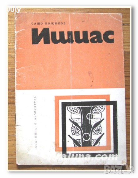 Ишиас, Сашо Божинов, снимка 1