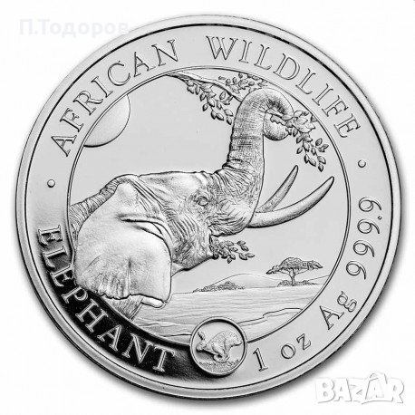 Сребро 1 oz Сомалийски Слон 2023 - мар. Заек, снимка 1