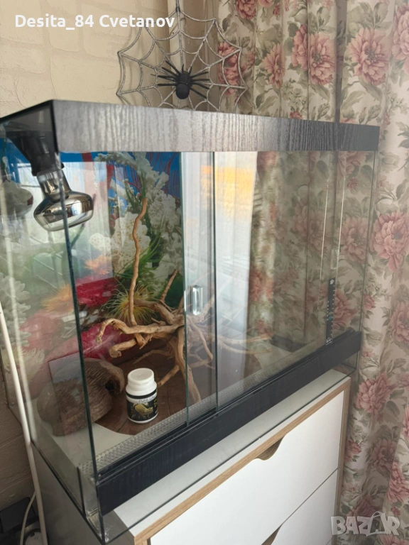 Терариум , снимка 1