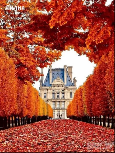 5D  Диамантени гоблени, снимка 1