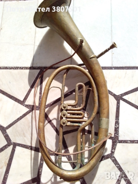 БАСФЛИГОРНА, снимка 1