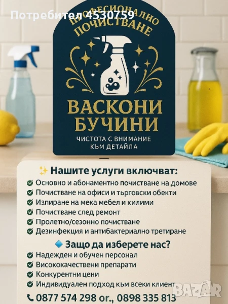 Професионално почистване, снимка 1
