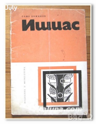 Ишиас, Сашо Божинов, снимка 1