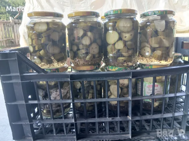 Домашни стерилизирани краставички , снимка 5 - Домашни продукти - 55884495