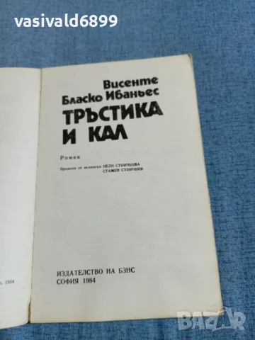 Висенте Бласко Ибаньес - Тръстика и кал , снимка 4 - Художествена литература - 56507557