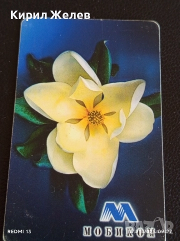 Две фонокарти серия ЦВЕТЯ ОРХИДЕЯ редки за КОЛЕКЦИЯ ДЕКОРАЦИЯ 48658, снимка 3 - Колекции - 51630439