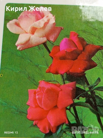 Старо календарче 78г. серия ЦВЕТЯ много красиво за КОЛЕКЦИЯ ДЕКОРАЦИЯ 35339, снимка 2 - Колекции - 51232570