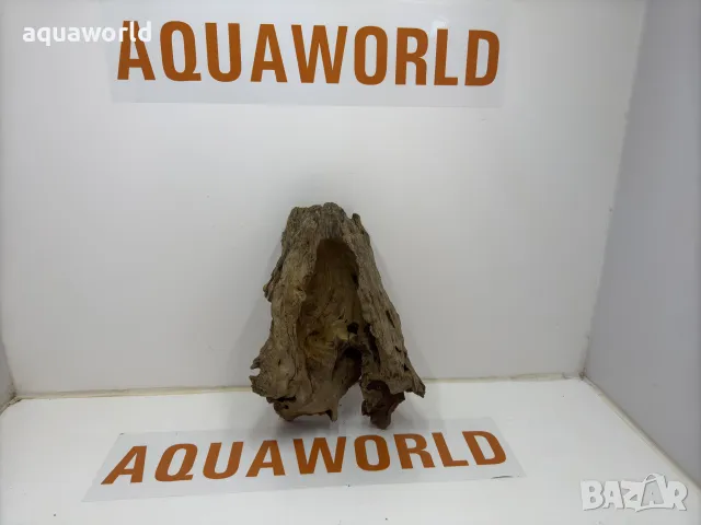 Африкански корен 16, снимка 2 - Оборудване за аквариуми - 49398629