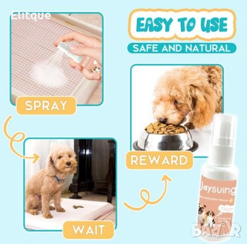 Спрей за обучение на гърне за домашни любимци, снимка 4 - За кучета - 52864730